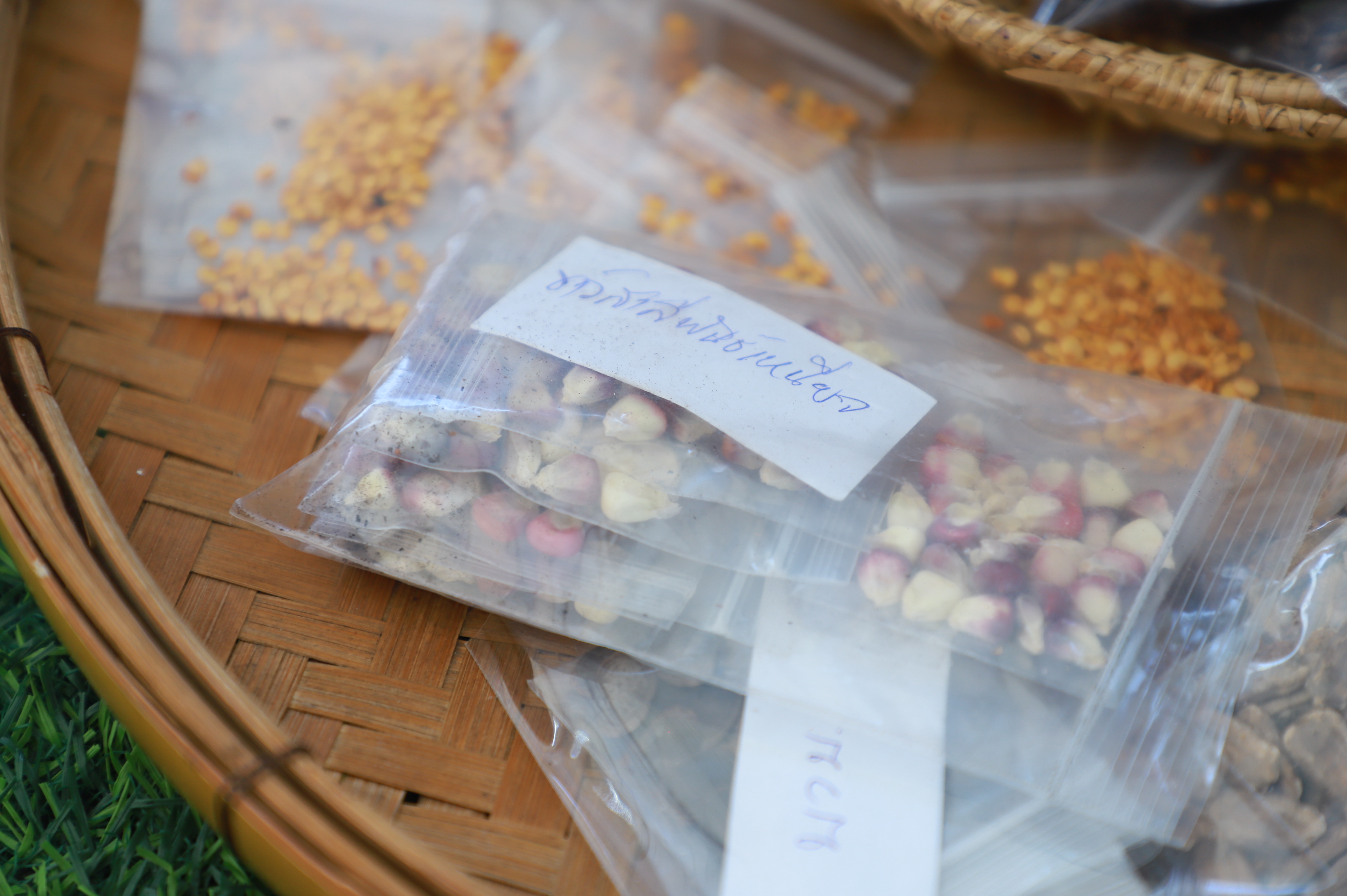 title - รองเลขาฯ ส.ป.ก. ร่วมงานมหกรรม “จากพันธุกรรม สู่ความยั่งยืน” รวมพลังอนุรักษ์ทรัพยากรไทย สร้างความมั่นคงทางอาหารอย่างยั่งยืน และการพึ่งพาตนเองในยามวิกฤต